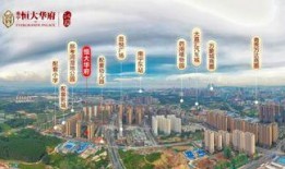 南宁恒大最新爆料,揭秘神秘项目背后的惊人真相