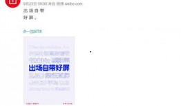 官方最新爆料消息,揭秘神秘项目，科技巨头布局未来